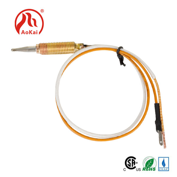 Thermocouple Kitchen dị mma